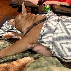 Meet your Posher, Glenda